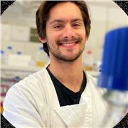 Native Portuguese speaker with a PhD in Biology.